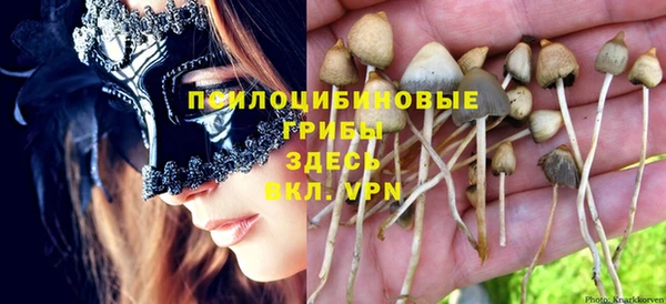 круглые Краснослободск