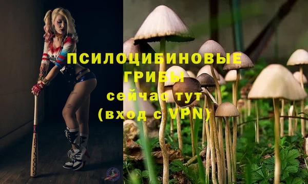 круглые Краснослободск