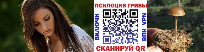 Псилоцибиновые грибы Psilocybe  Купить где  Электрогорск 